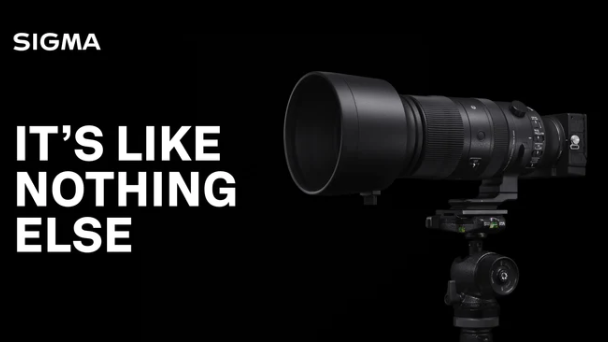 Sigma 60-600mm DG DN OS Sport - A First Look