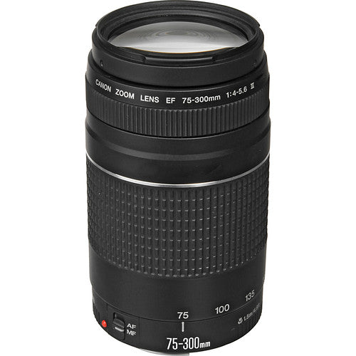 Canon EOS Rebel T7 DSLR Camera with 18-55mm and 75-300mm Lenses Package