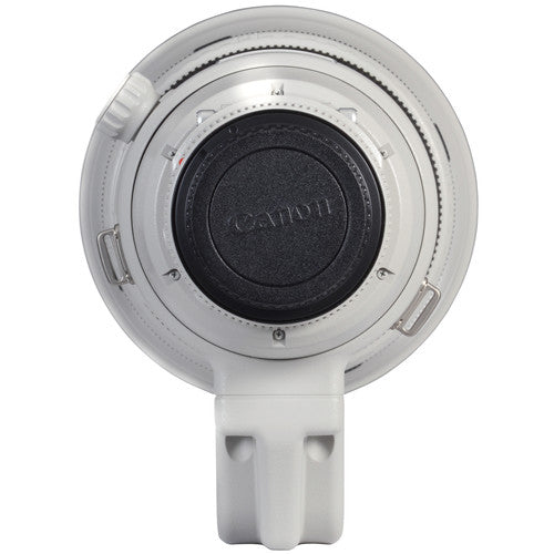 Canon EF 500mm f/4L IS II USM