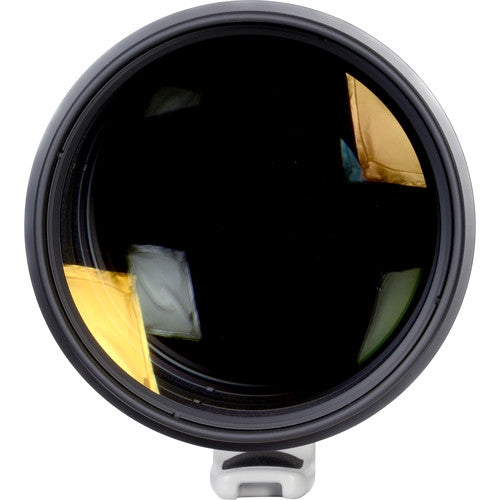 Canon EF 600mm f/4L IS II USM