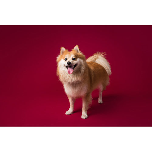 Savage #06 Seamless Background Paper (86" x 36') - Crimson