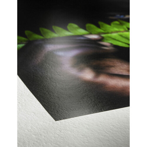 Hahnemuhle Photo Rag Pearl Paper (13 x 19", 25 Sheets)