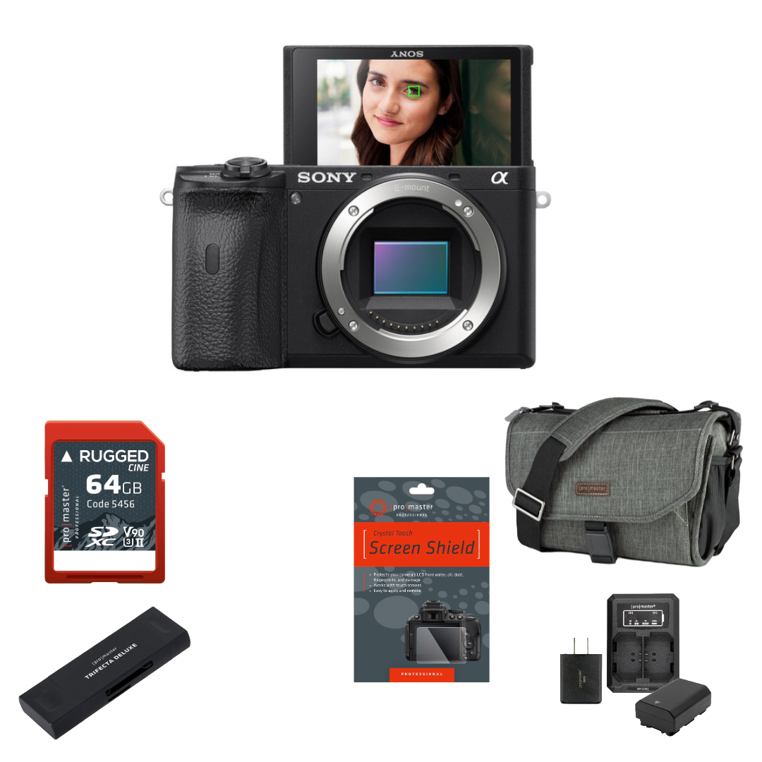 Sony a6600 Mirrorless Camera Package