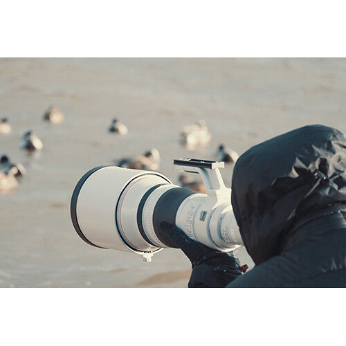 Canon RF 800mm f/5.6 L IS USM Lens (Canon RF) Package