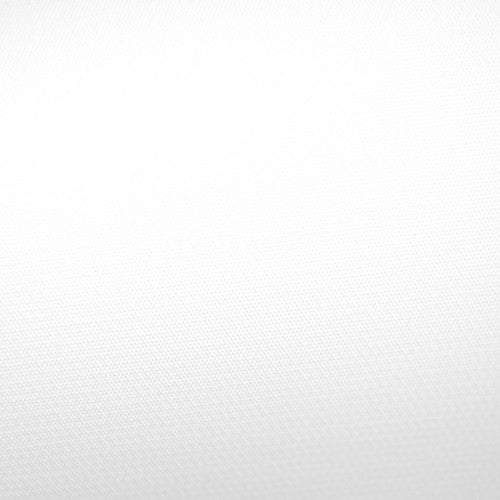 Savage Infinity Solid Vinyl Background (Pure White, 9 x 10')