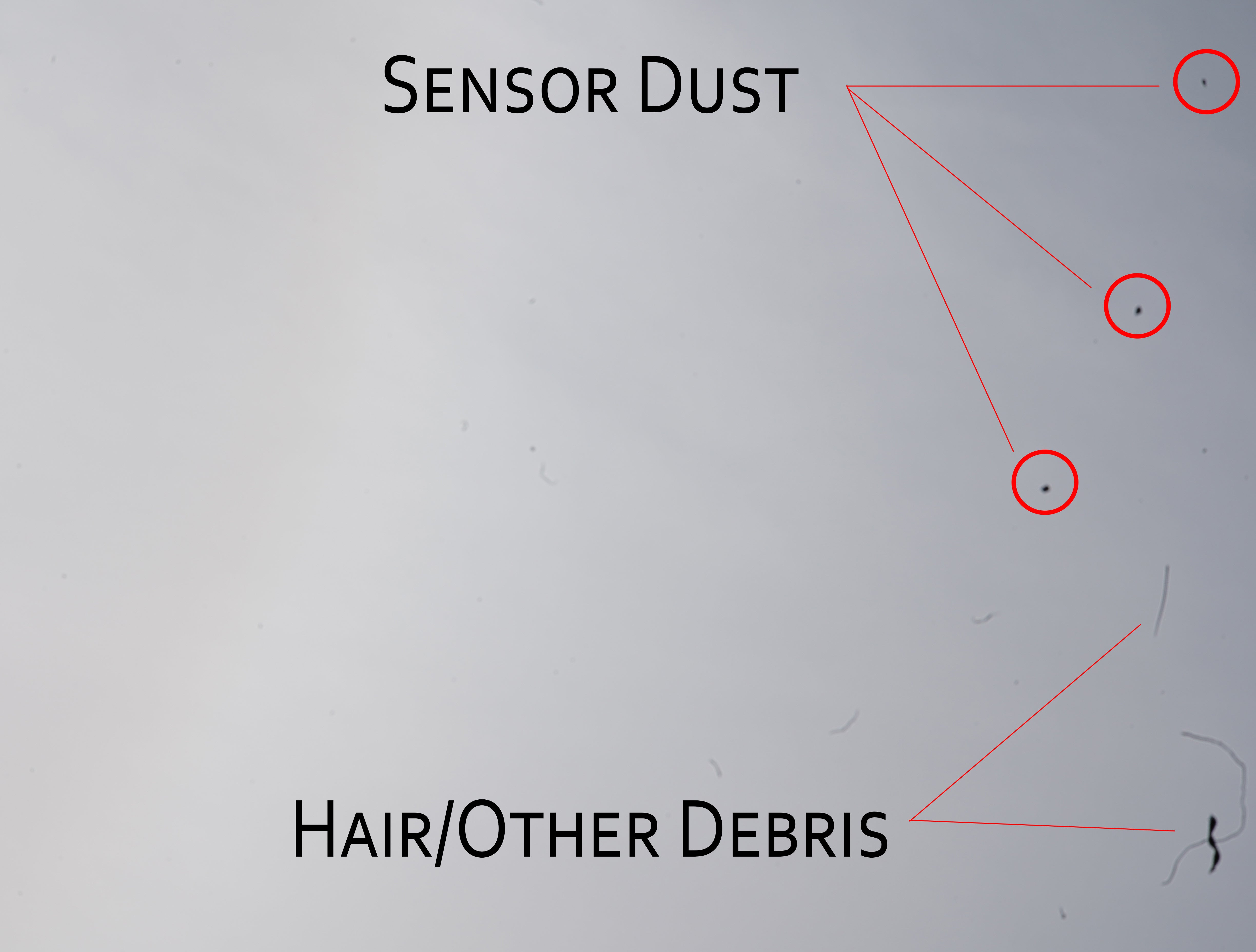 Sensor Cleaning