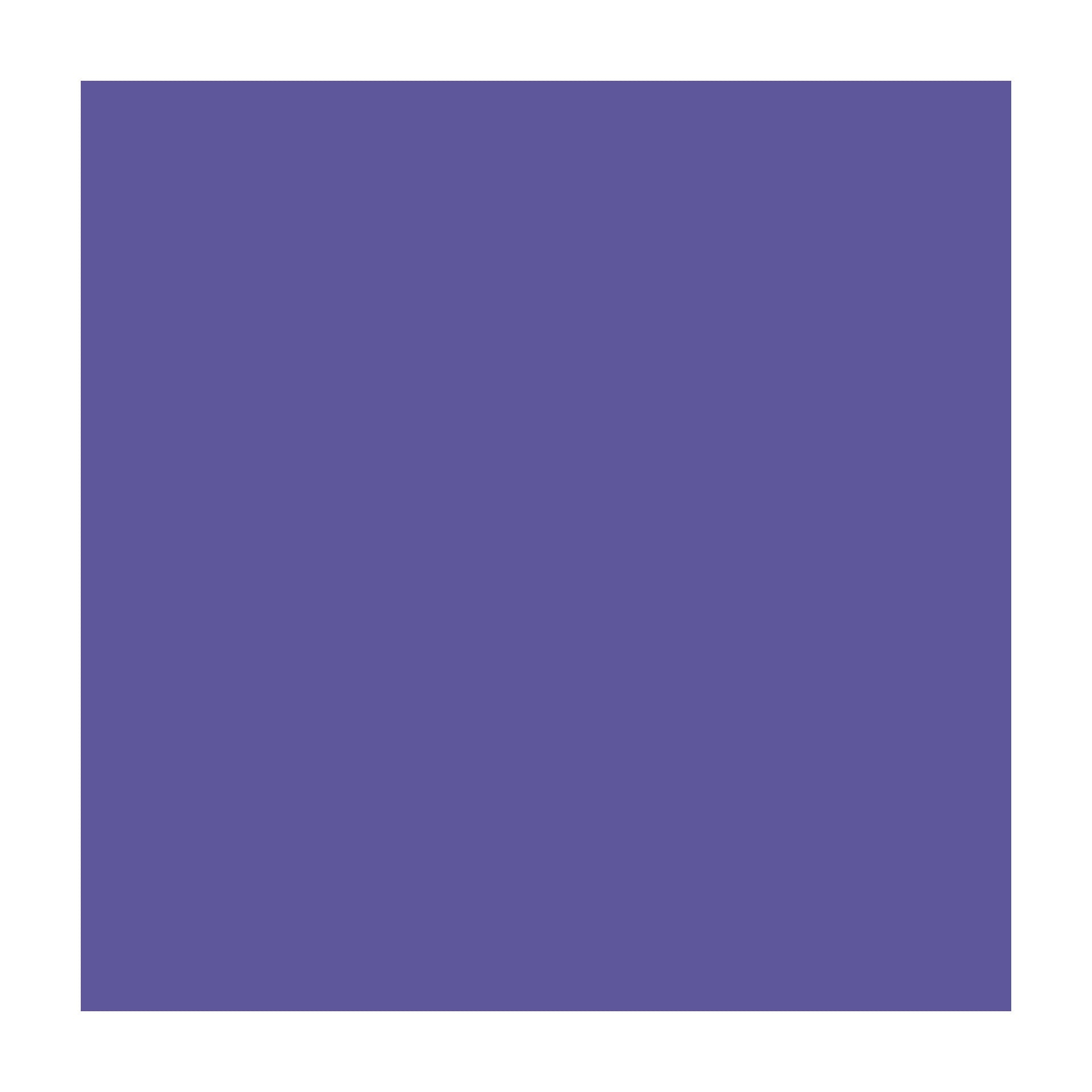 Savage #62 Seamless Background Paper (53" x 36') -  Purple