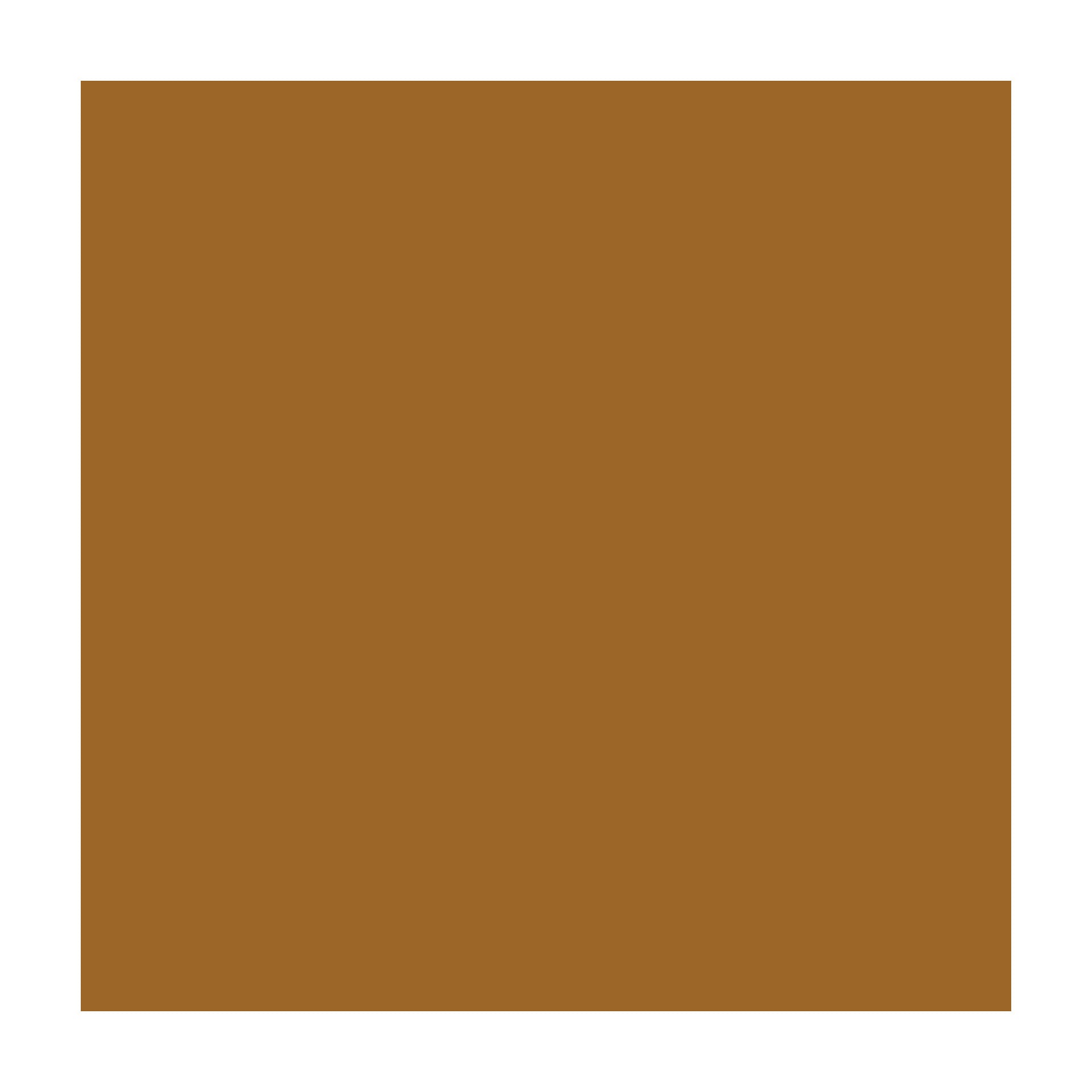 Savage #80 Seamless Background Paper (53" x 36') - Cocoa