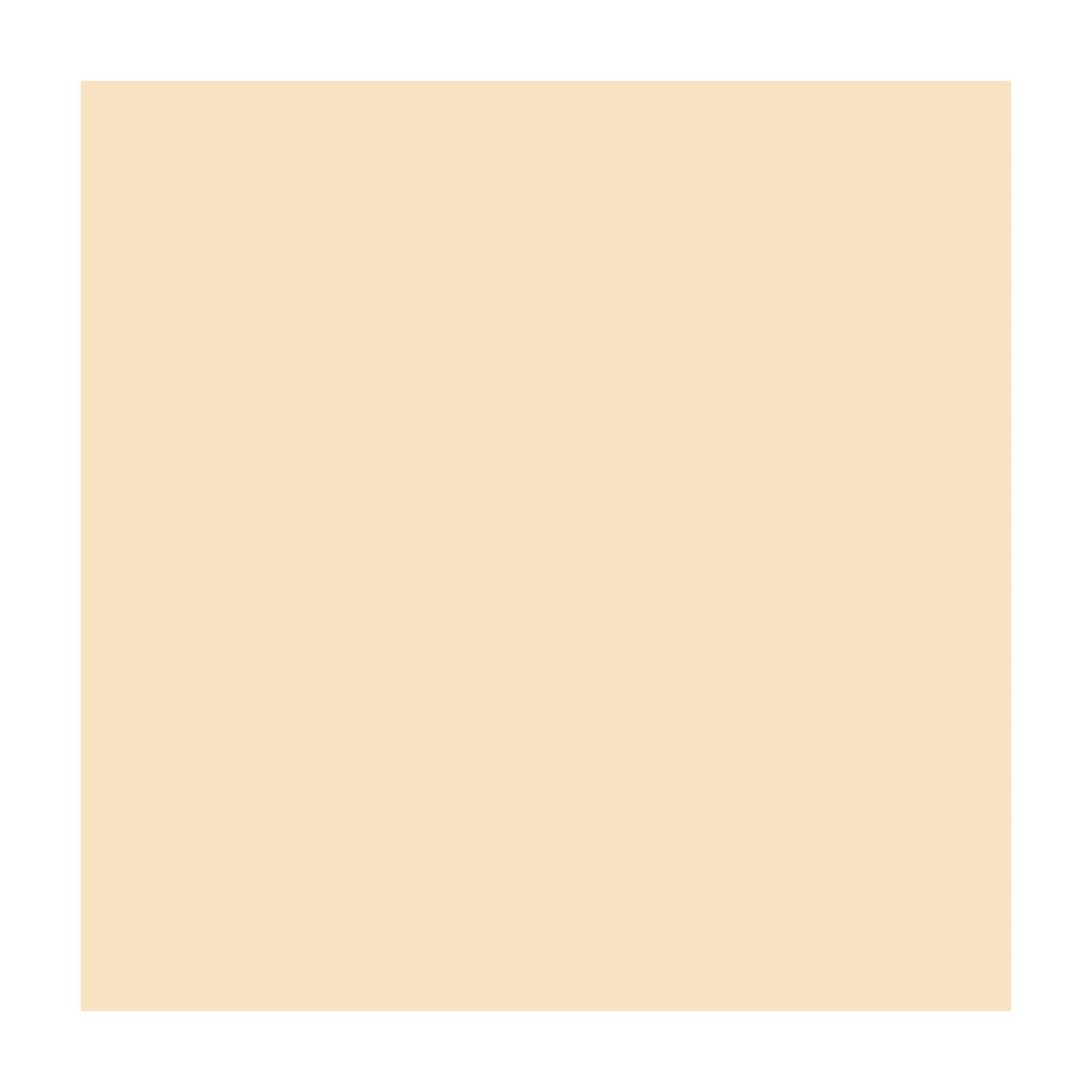 Savage Widetone Seamless Background Paper (#19 Egg Nog, 53" x 36')