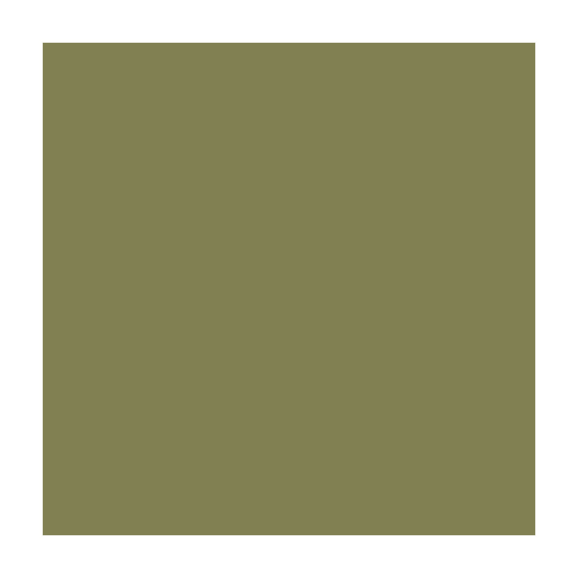 Savage Widetone Seamless Background Paper (#34 Olive Green, 53" x 36')