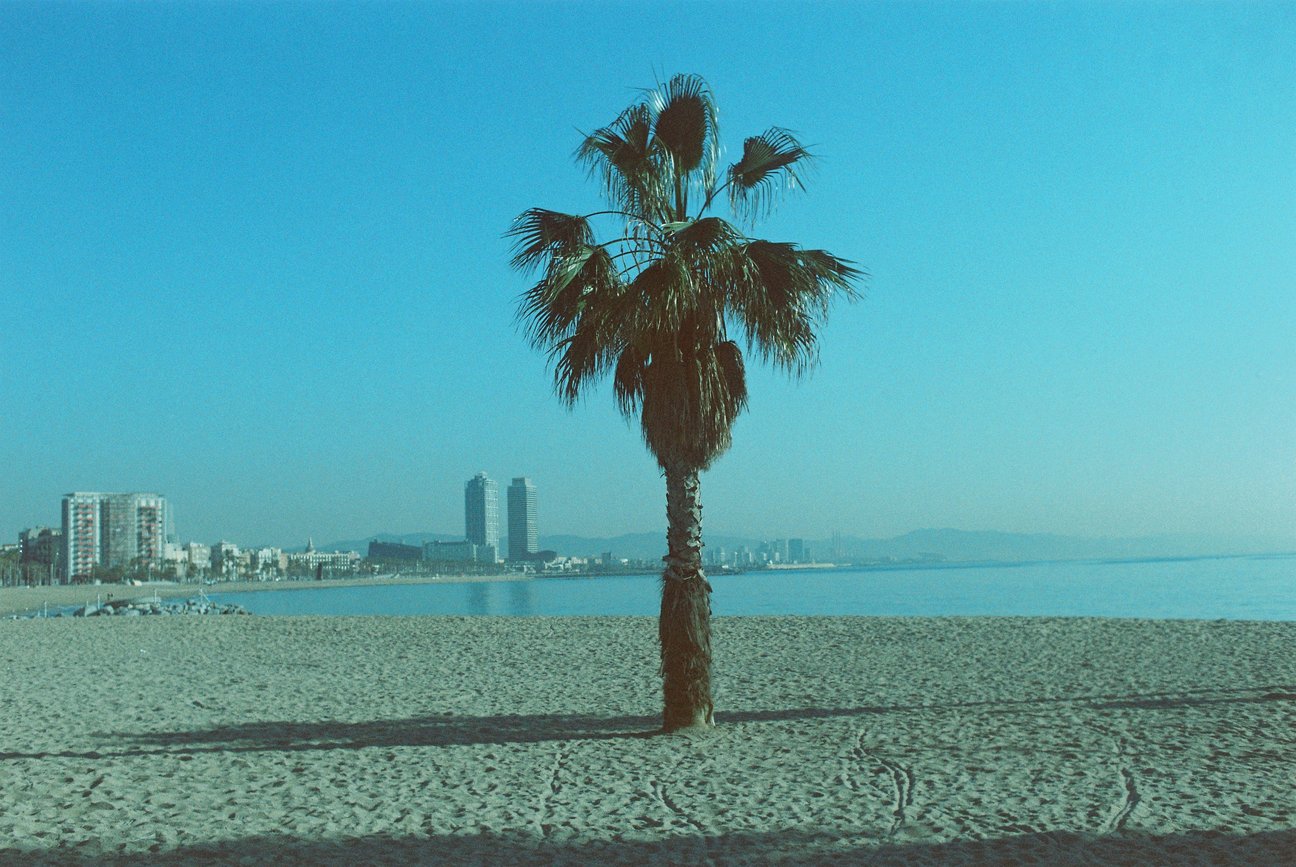 Dubblefilm Pacific ISO 200 Film, 35mm, 36 exp