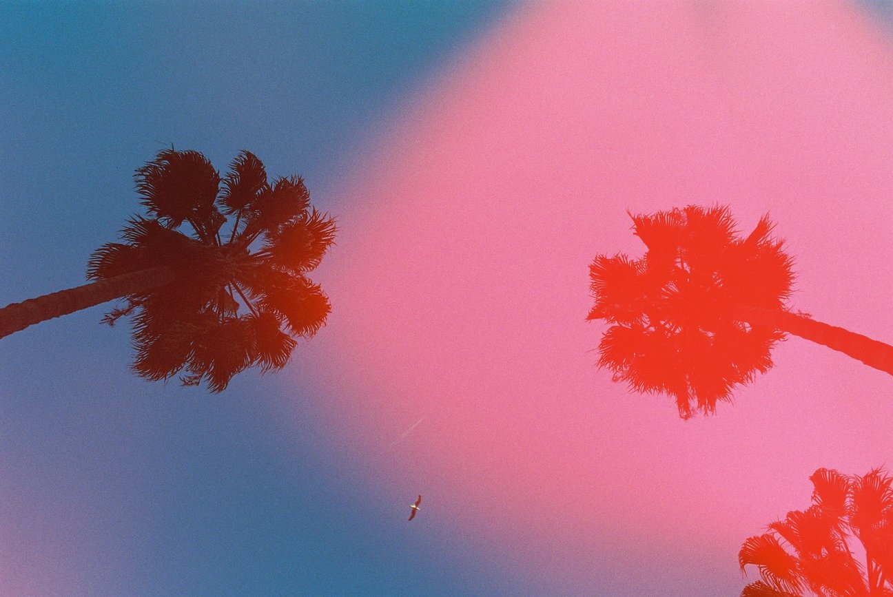Dubblefilm Solar ISO 200 Film, 35mm, 36 exp