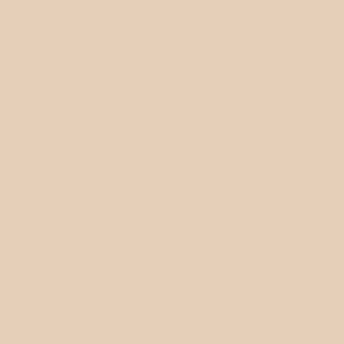 Buy Savage Widetone Seamless Background Paper (#19 Egg Nog, 86" x 36')