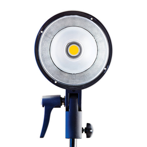 Buy Westcott FJ400 Strobe 1-Light Backpack Kit with FJ-X2m Universal Wireless Trigger and Rapid Box Switch