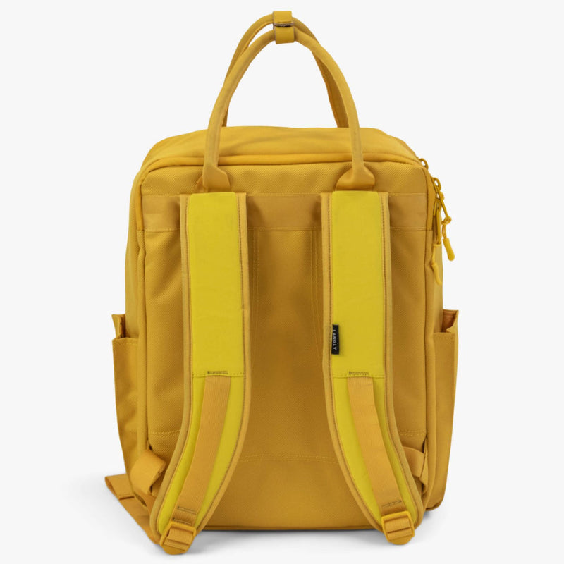 Langly Sierra Camera Backpack - Aspen Gold