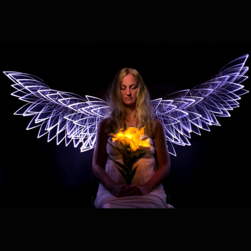 Buy Light Painting Brushes Feather Plexiglass Brush