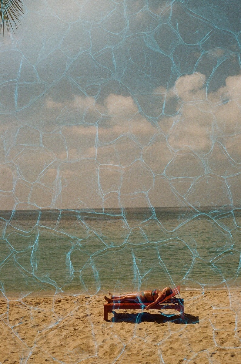 Revolog Plexus Color 35mm Film - ISO 200