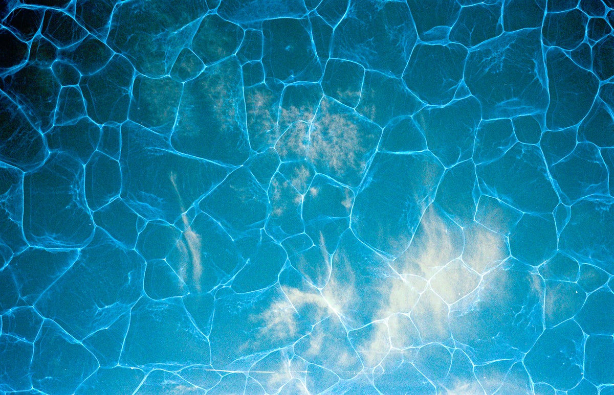 Revolog Plexus Color 35mm Film - ISO 200