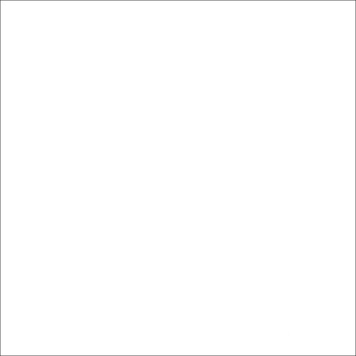 Savage Widetone Seamless Background Paper (#66 Pure White, 86" x 36')