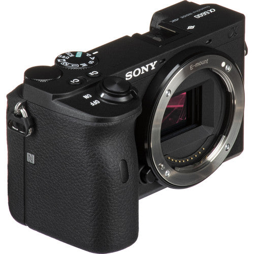 Sony a6600 Mirrorless Camera with 18-135mm f/3.5-5.6 Lens Package