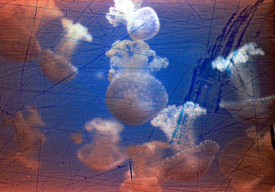 Revolog Streak Color 35mm Film - ISO 200